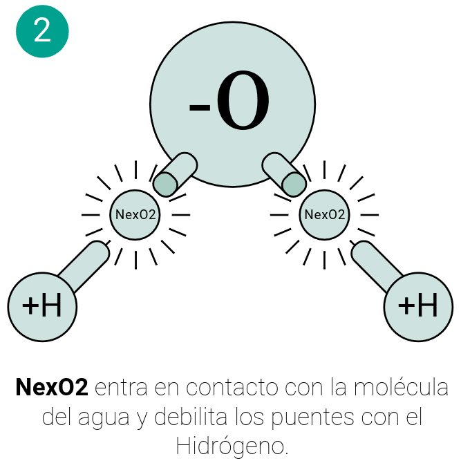 Sin título-28