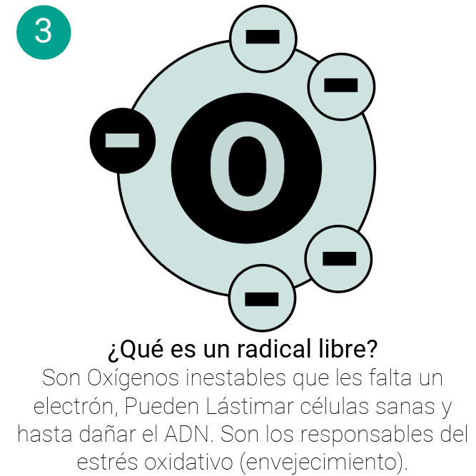 Sin título-29